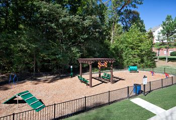 Dog park