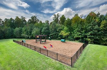 Dog park
