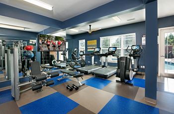 Cardio/strength fitness center