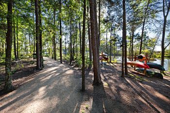 Walking trail with lake views