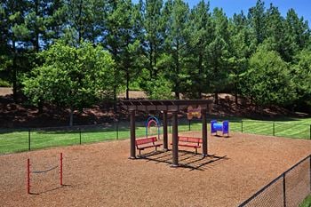Dog park