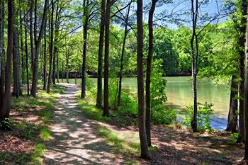Lakeside walking trails