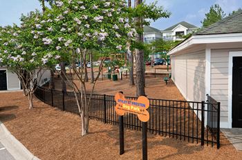 Dog park