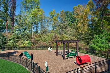 Dog park