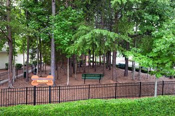 Dog park