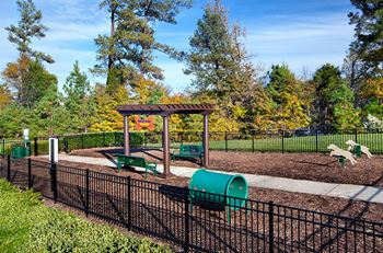 Dog park