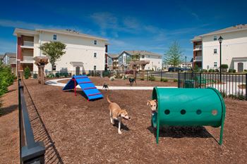 First dog park