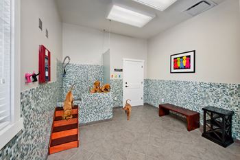 Pet spa