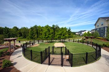 Second dog park