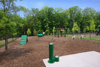 Dog park