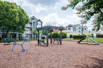 Dog park