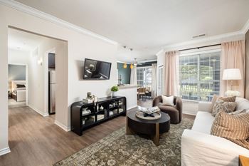 Wood plank style floors*