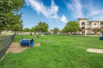 Dog park