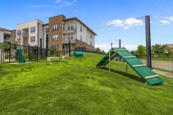 Dog park