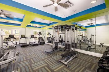 Two cardio and strength training fitness centers