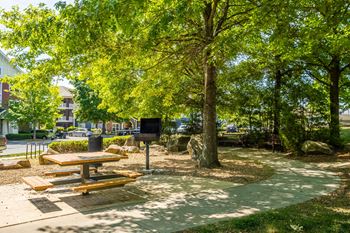 Outdoor grilling/picnic area