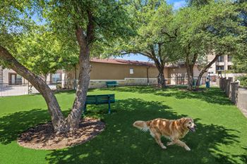 Dog park