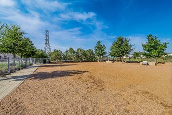 Dog park