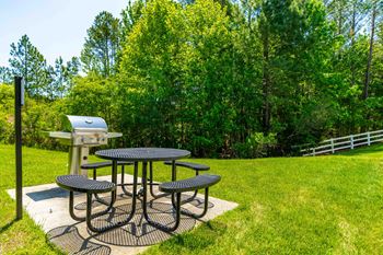 Picnic areas w/ bbq grills