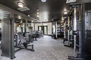 Wake Forest apartment for rent - A gym with a variety of equipment including weights and machines.