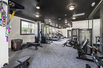 Brand new 24-hour cardio and strength fitness center