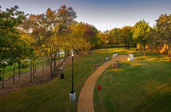 Main dog park
