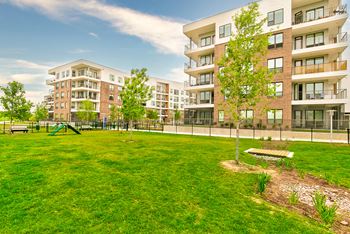 Expansive off leash dog parks