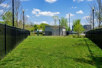 Dog park