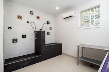 Brand new pet spa