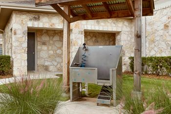 Dog wash station