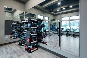 24-Hour fitness center with virtual fitness featuring rowing, spin, treadmill, and the echelon reflect mirror exercise system