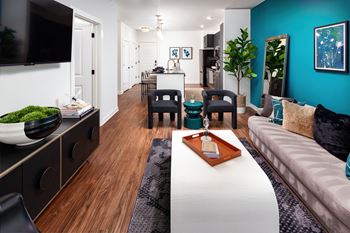 Wood plank style flooring*