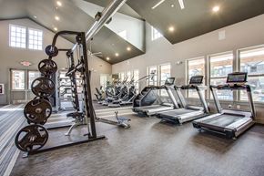 Mckinney apartment for rent - a gym with weights and cardio equipment at the district at highland village apartments