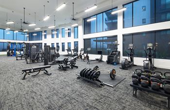 South building: state of the art cardio & strength training fitness center featuring: yoga, stretching and barre area, peloton bikes, peloton row, peloton tread, trx and hiit training equipment, echelon reflect on demand workouts, outdoor fitness area, free weights and more!