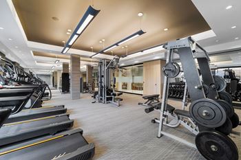 Cardio and strength training fitness center with echelon reflect mirror & bikes with on-demand classes, trx, and skillmill