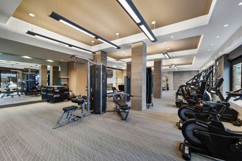 Cardio and strength training fitness center with echelon reflect mirror & bikes with on-demand classes, trx, and skillmill