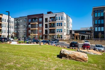 Pocket park
