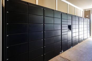 Package lockers with cold storage