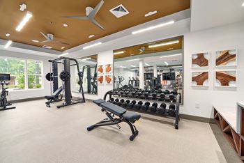 Cardio and strength training fitness center with techno-gym equipment