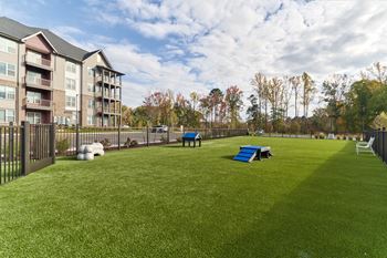 Dog park