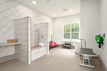 Pet spa