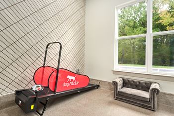 Pet spa