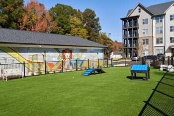 Dog park
