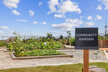 Community garden