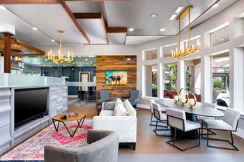 Media and wi-fi lounge