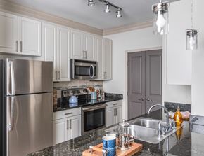 Mckinney apartment for rent - Model Kitchen