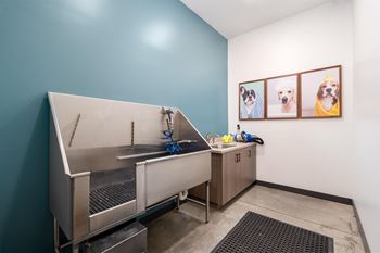 Pet spa
