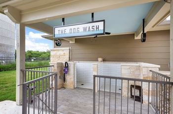 Dog wash station