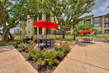 Bbq/picnic area