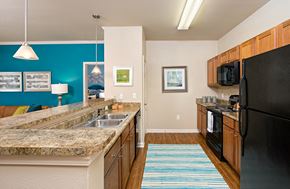 Cary apartment for rent - a kitchen with a granite counter top and a black refrigerator